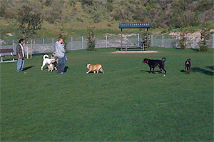 Simi Valley Dog Park Located in the Big Sky Lost Canyons developments