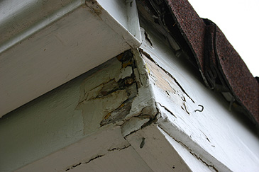 Simi-Valley-Termite-repairs-dry-rot