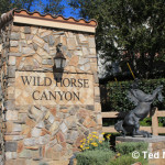 Simi Valley Wild Horse Canyon