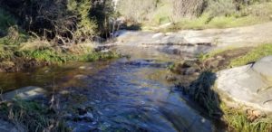 Hidden Waterfalls of Simi Valley 