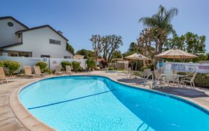 Alamo Court Community Pool